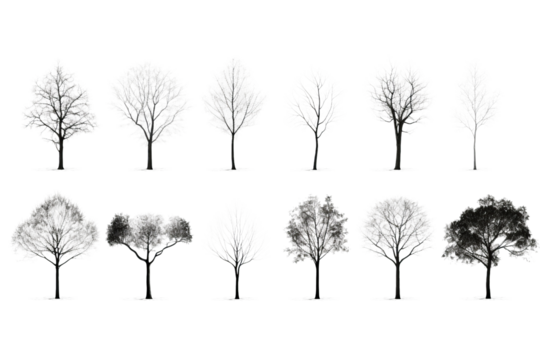 Set / Collection of Black and white trees isolated on transparent background PNG cutout , generative AI
