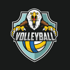 volleyball logo eagle vector art illustration design