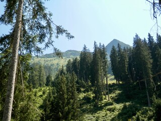 Der Talschluss bei Saalbach-Hinterglemm