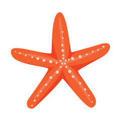 Starfish in cartoon style