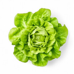 Lettuce isolated on transparent background top view 