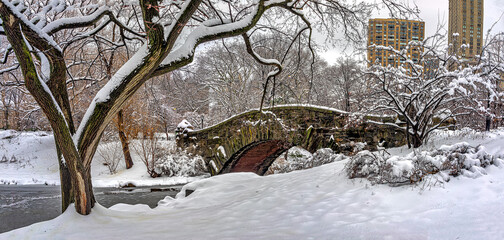 Gapstow Bridge in Central Park, wnter