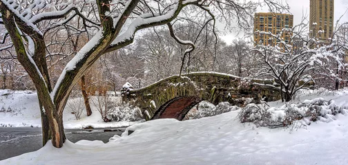 Keuken foto achterwand Gapstow Brug Gapstow Bridge in Central Park, wnter