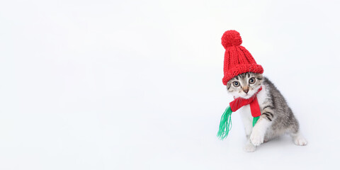 Tiny kitten in a red santa hat. Christmas cat in red Santa Claus cap isolated on a white background. New Year greeting card poster winter holiday shopping. Merry Christmas. Happy New Year Copy space 