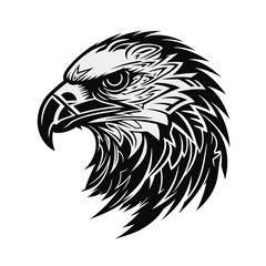 Obraz premium Eagle head isolated on white background