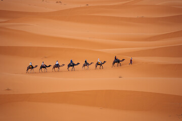 Fototapeta na wymiar Camels in Sahara Morocco: Experience desert journeys atop these gentle creatures, exploring the vast dunes and embracing the magic of the Sahara. High quality photo