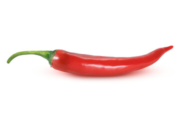 Red chili pepper on an isolated white background.