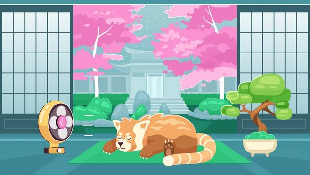Sleeping red panda in japan home kawaii lo fi animated cartoon background. Cherry blossom japanese anime lofi aesthetic live wallpaper animation. Color cute chill scene 4K video motion graphic
