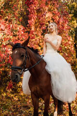 Fototapeta premium Beautiful bride in white dress stands near a horse in the autumn forest. 