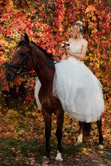 Fototapeta premium Beautiful bride in white dress stands near a horse in the autumn forest. 