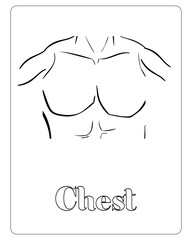 Human Body Coloring Pages, Human Body Part Vector