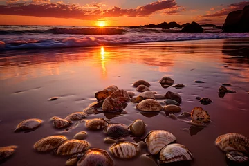 Foto op Plexiglas idyllic landscape of a tropical beach at sunset © chandlervid85