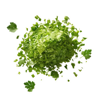 Chopped cilantro, raw parsley, chervil, and coriander pieces.