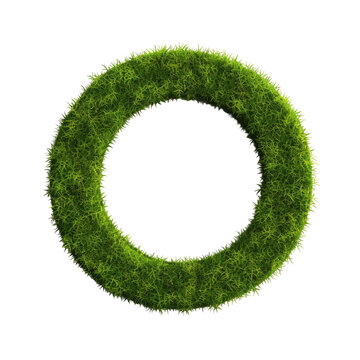 Grass circle, depicted in 3D.