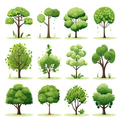 Fototapeta premium Isolated green trees for print and web with transparency and cut path.