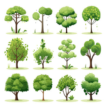 Isolated green trees for print and web with transparency and cut path.