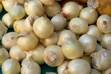 organic white onions in bazaar