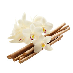 white background showcasing vanilla sticks closeup alongside an orchid flower.