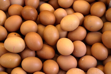 organic brown eggs in bazaar