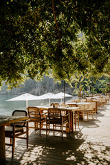 A scenic beachfront breakfast setup with fresh gourmet dishes on a rustic wooden table shaded under lush green foliage. White parasols and lounge chairs overlook the calm blue sea in T&uuml;rkiye