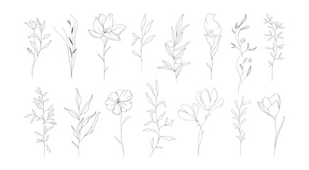 Fine line flowers. Doodle ornamental floral elements, nature botanical leaves and branches, tiny tattoo sketch. Vector set