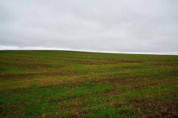 Fototapeta na wymiar pola