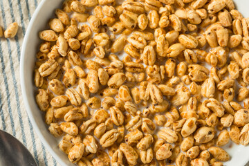 Healthy Sweet Puffed Wheat Breakfast Cereal