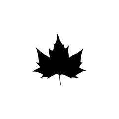 Maple leaf black vector element 