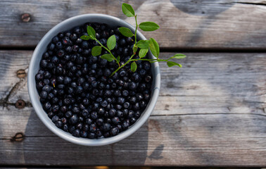 plate blueberries on wooden table