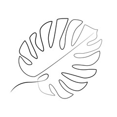 Continuous line drawing Monstera leaf isolated on white. Hand drawn vector botany illustration. Elegant and minimalism unregular line, Tropical art for print, cloth, Poster, Decoration, Logo design.