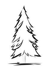 Obraz premium Tannenbaum