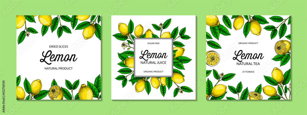 Wall mural square lemon background. hand drawn colorful vector illustration in sketch stile. design for packagi