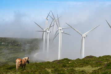 Wind turbines in the wind farm of La Peñuca between the fog