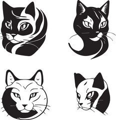 black and white cats
