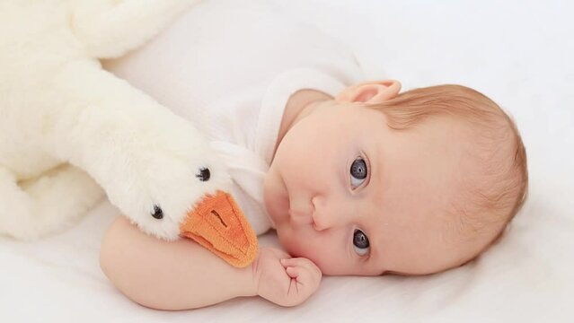 newborn baby with blue eyes in a white bodysuit on a cotton bed hugs a stuffed goose toy, close-up portrait, space for text