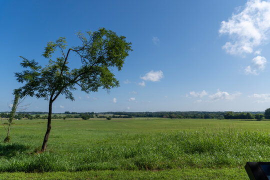 Nature in NWA