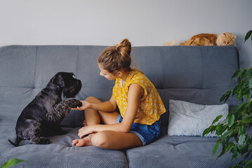 Dog Training Commands Concept. girl teaching pet at home in living room, playing and rewarding him...