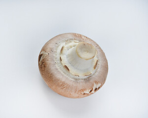 Mushrooms on a white background. Edible mushrooms from the store. Beautiful mushrooms.