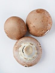 Mushrooms on a white background. Edible mushrooms from the store. Beautiful mushrooms.