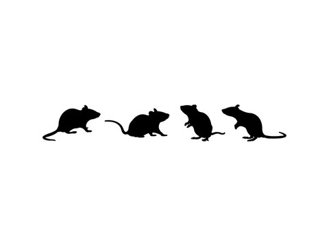 black rat silhouettes on white background clip art preview