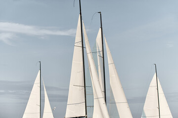 the tops of several sails are illuminated by the sun at sunset, clear sky, masts