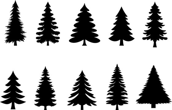 Set of Christmas tree vector black icon.Simple flat chriasmas tree collection .Pine tree.