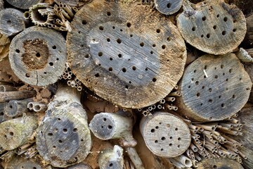 Hotel for insects. Insect house, insect hotel, among a pile of wood