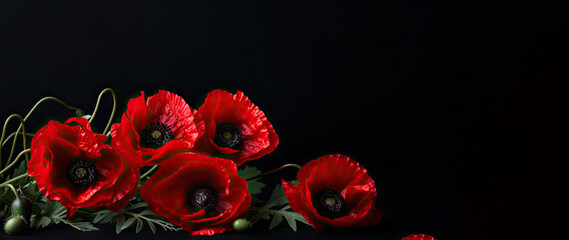 Red poppies on black background. Creative Poppy flowers banner background. Remembrance Day