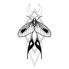 Vector moth, mystic symbol and signs with geometric ornament. Witchcraft, occult, alchemical signs. Butterfly moth vintage engraved style
