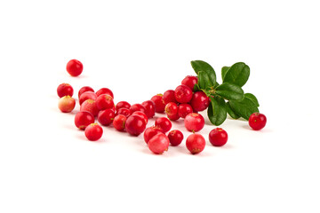 Fresh wild lingonberry berries with leaves, isolated on white background.