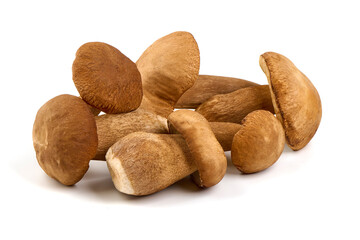 Boletus edulis (king bolete), isolated on white background. Close up.