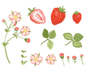 Strawberries Blossoms Set