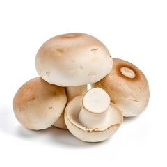 Mushrooms champignons. Mushrooms champignons on white background. Isolated pile of white mushrooms