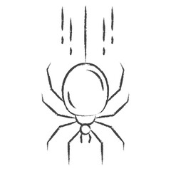 Hand drawn Spider illustration icon